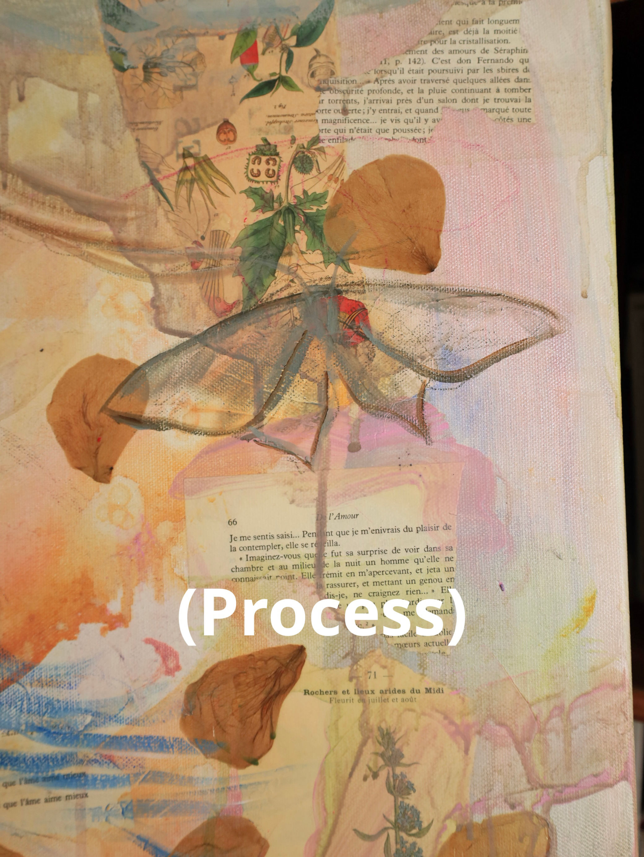 Take It Slow | Oil Painting | Wild Feminine Art