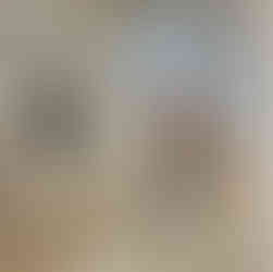 dioro galerie paris fleur naima fine art