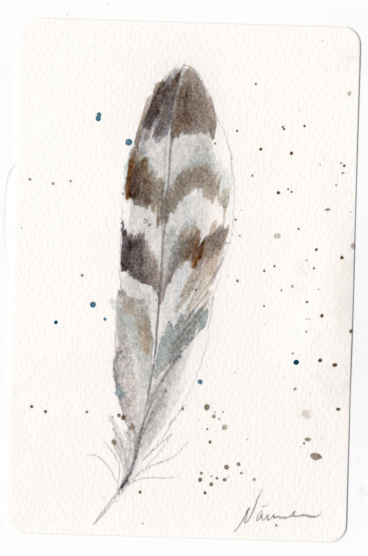 Feather - Eagle - watercolor painting -1