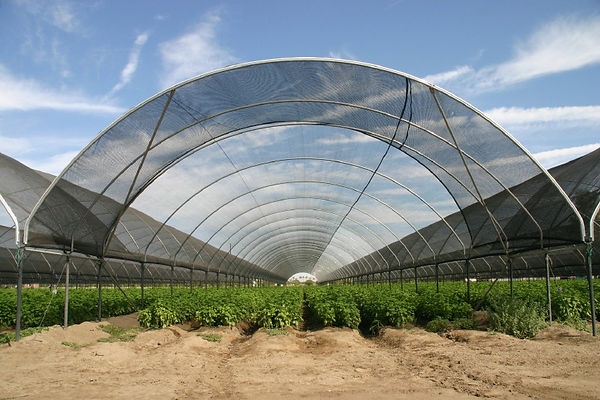 Agricultural Shade Cloth | fabtexsolutions