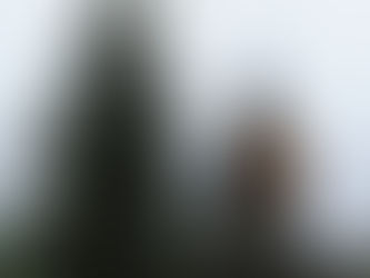 Lute o combate da vida com fidelidade