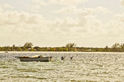 Série Navegando - Foto 6