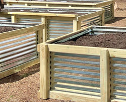 Raised Garden Beds