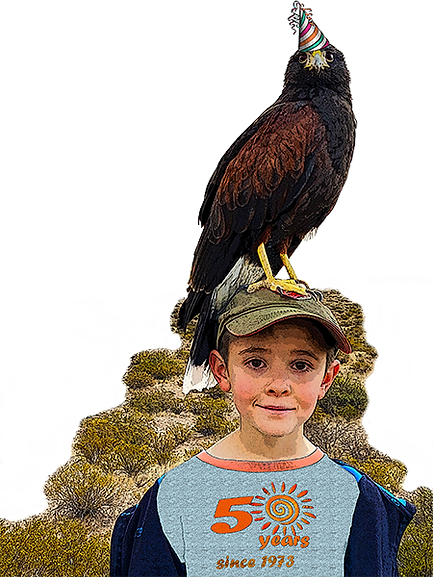 Hawk and boy with poster edges.png