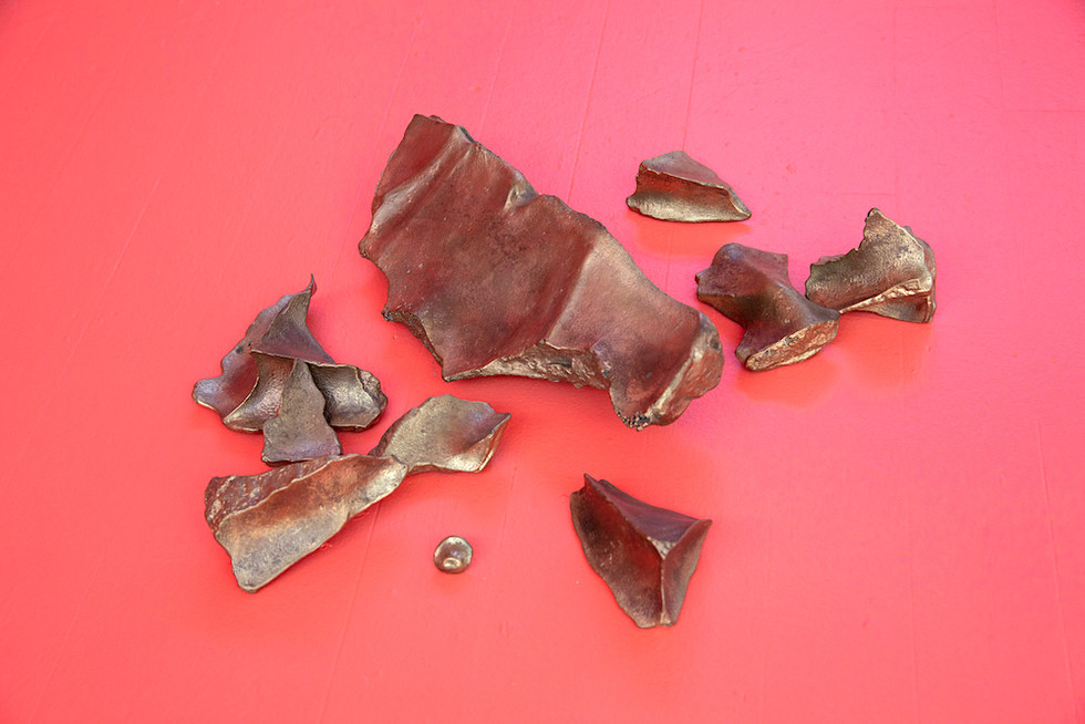 Ten bronze pieces of various sizes that look like fossils or bone fragments.