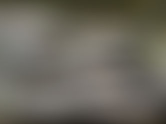 2021/05/15 涸沼川釣果報告 コンディションの良い魚が待ってます🎣