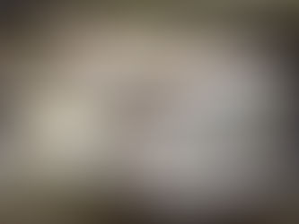 2021/06/12 涸沼川釣果報告「Team おとなの遠足s」第二話