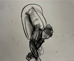 IMG_8386.jpeg