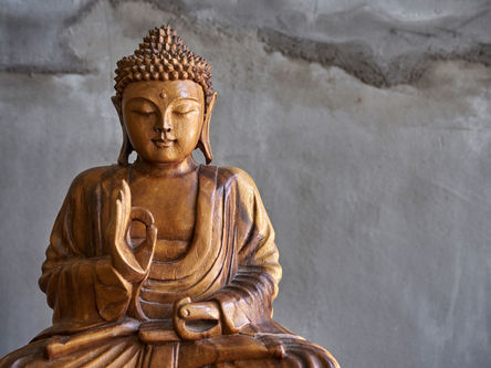 The Second Noble Truth of Buddhism is The Noble Truth of the Causes of Suffering 