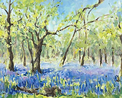 Sea of Bluebells Oil on Canvas Board (24 x 30cm) £350.00.jpg