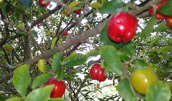 20200223_164316.jpg