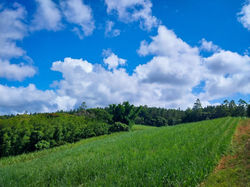 IMG-20240317-WA0018_edited