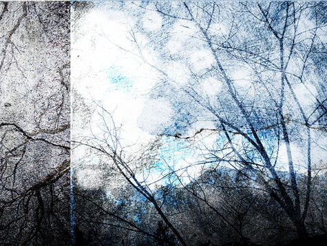 ASSEMBLAGE 05B.jpg
