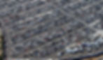yard_lp_7.jpg