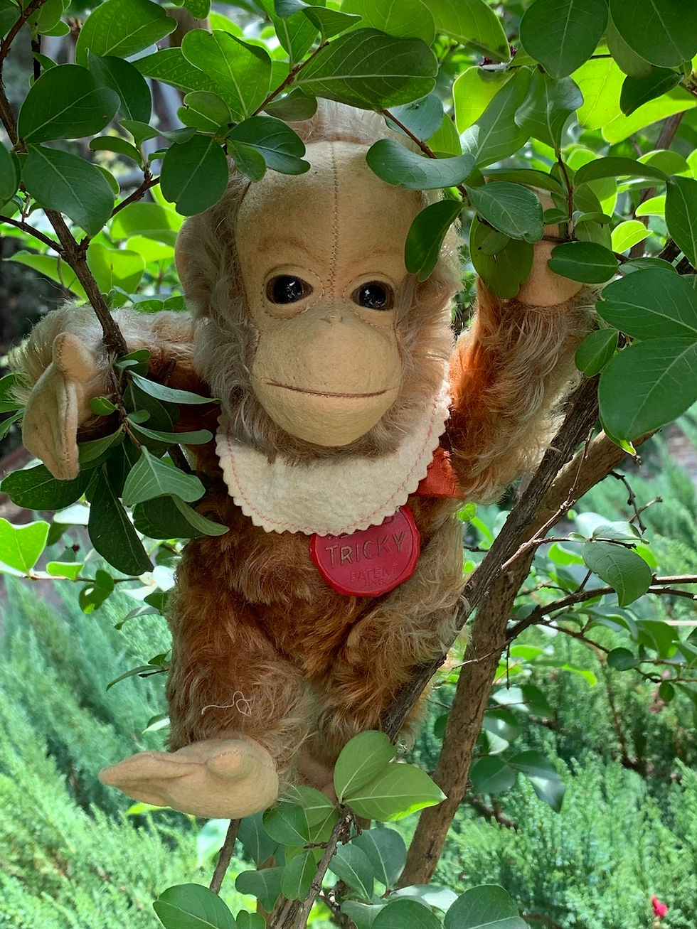 Rare VINTAGE 9" Schuco Mohair Tricky Yes / No Monkey w/Bib & Tag