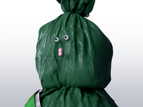 Spare-it visual waste assessment