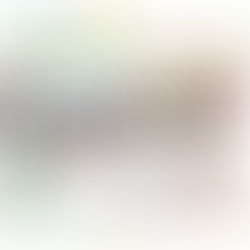 Exposition du 20 juin au 15 juillet 2018!