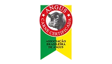 Asset 105Angus.webp