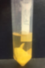 571 D0.JPG