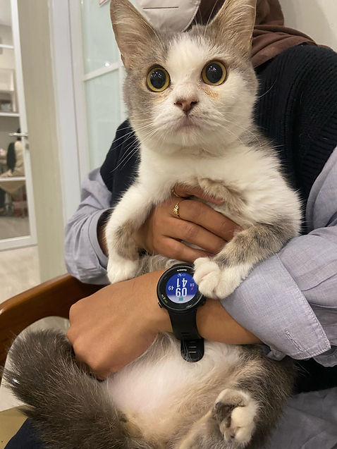 WhatsApp Image 2024-05-10 at 12.12.11.jpeg