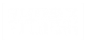 boxlogo_weiss_auf_transparent.png
