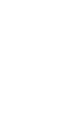 background element.png