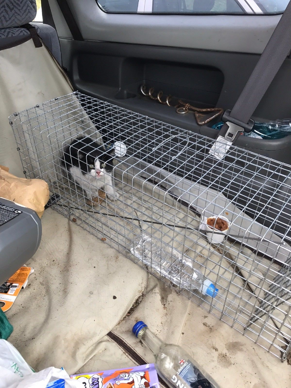 CAT TRAP/SMALL DOG CATCH ALIVE | discount-pest-