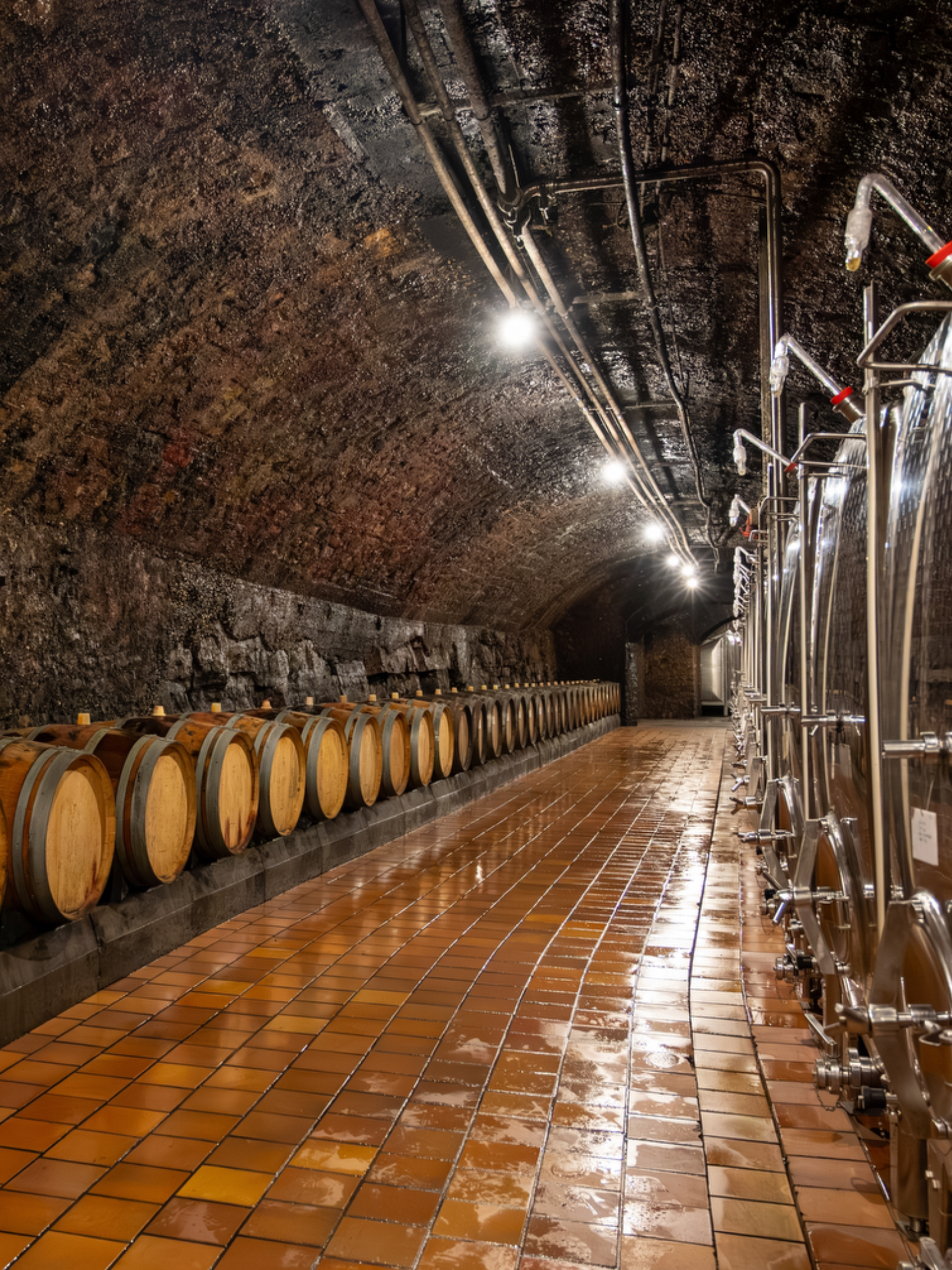 traditional Charmat method Prosecco