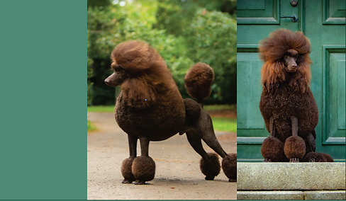 Skjermbilde 2024-11-14 172645.png