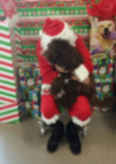 bo_santa2.jpeg
