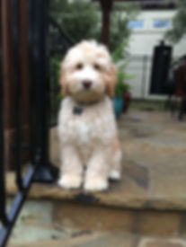 Nora (2).jpeg