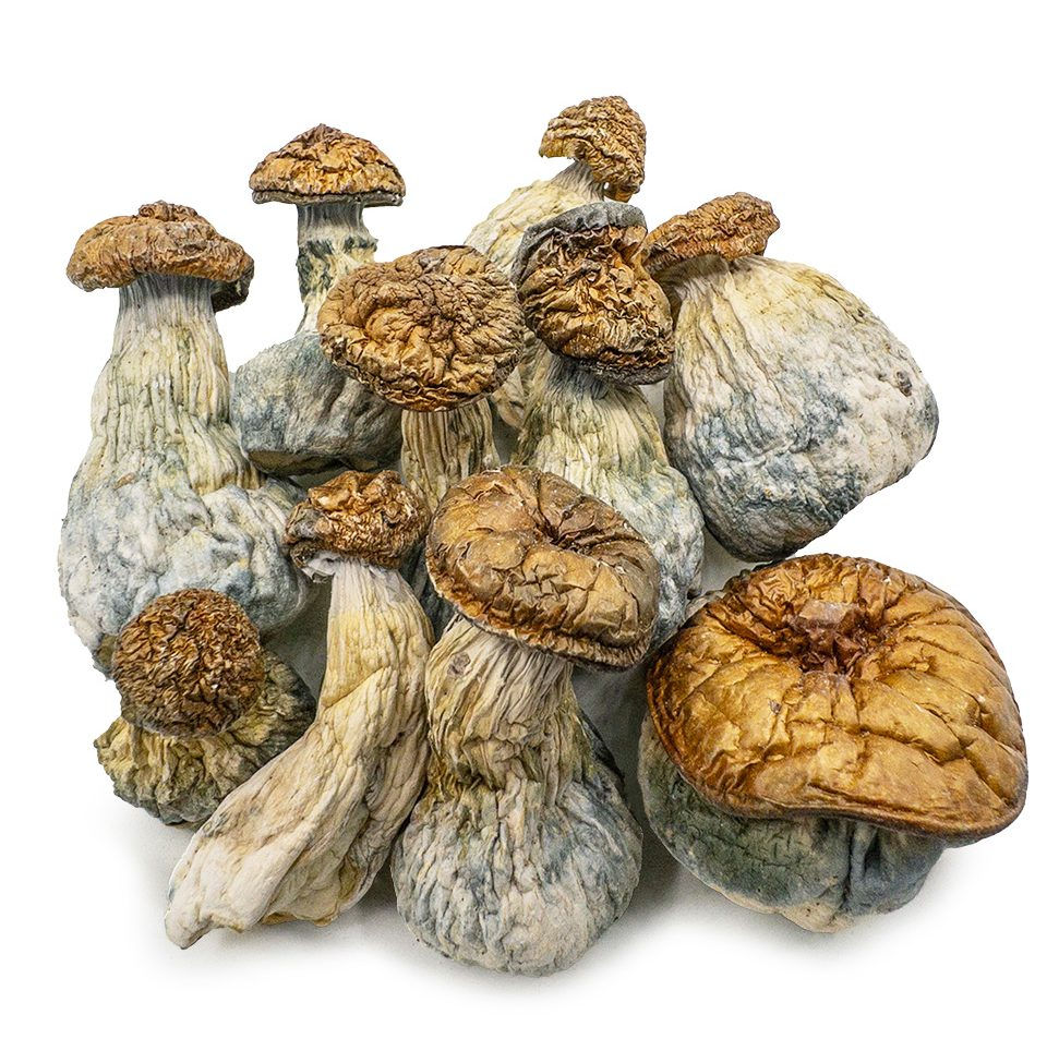 Magic Mushrooms - Gold Member