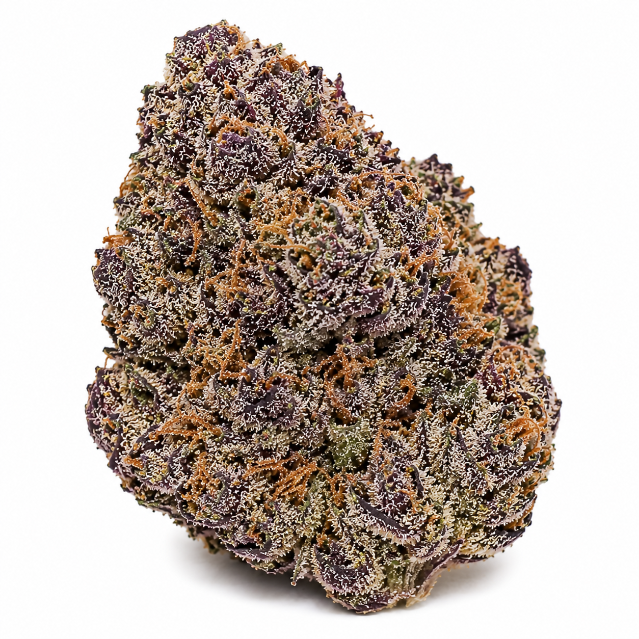 Budzilla AAAA+ Premium Craft Hybrid