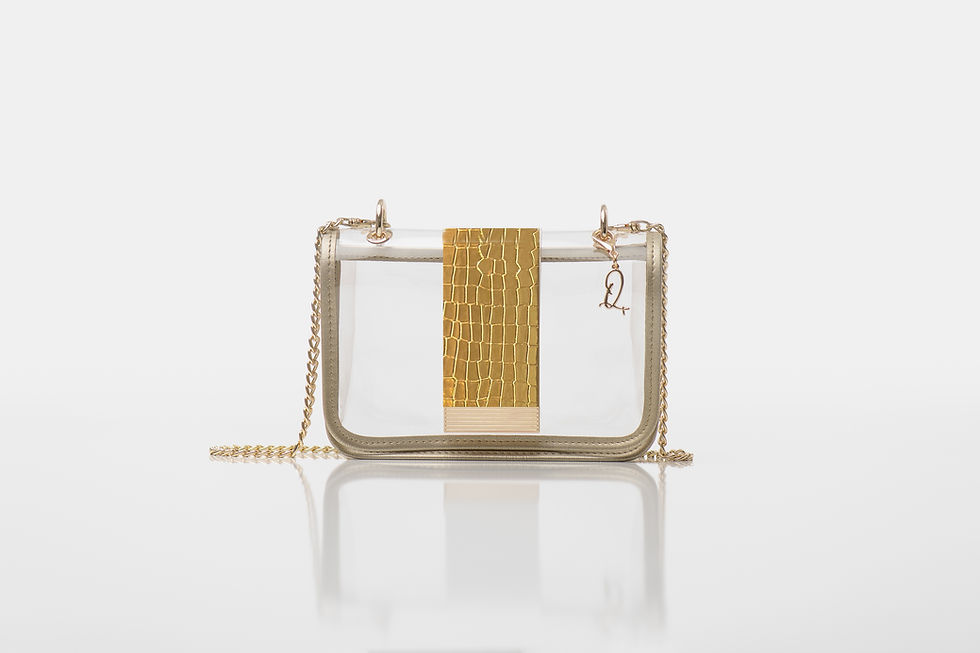 GOLD_SMALL BAG