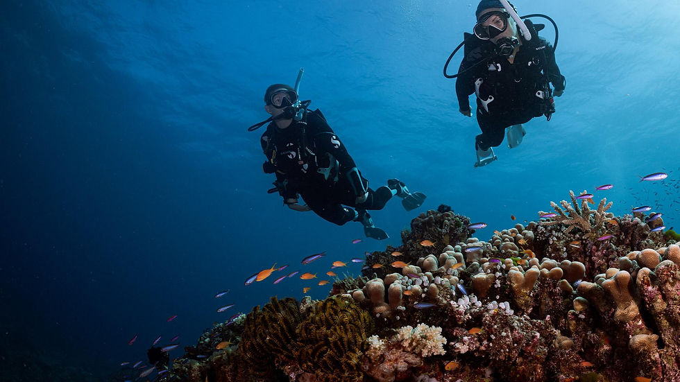 Close-up view of a diver exploring colorful underwater marine life