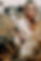 DSC07764-web-scaled-1.jpg