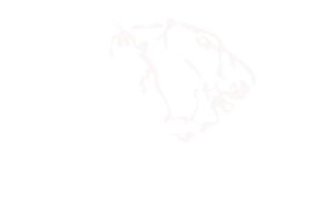 logo-chauvet-footer.png