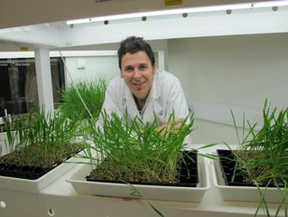 Fungicide resistance discovery calls for urgent action