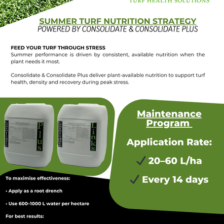 Summer Turf Nutrition Strategy Through Consolidate/Consolidate Plus