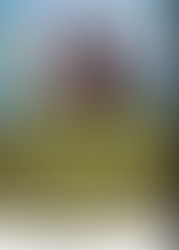 Cutman Seminar (WMO certified)