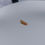 Thumbnail: 1.71 ct Shield Cut Golden Topaz