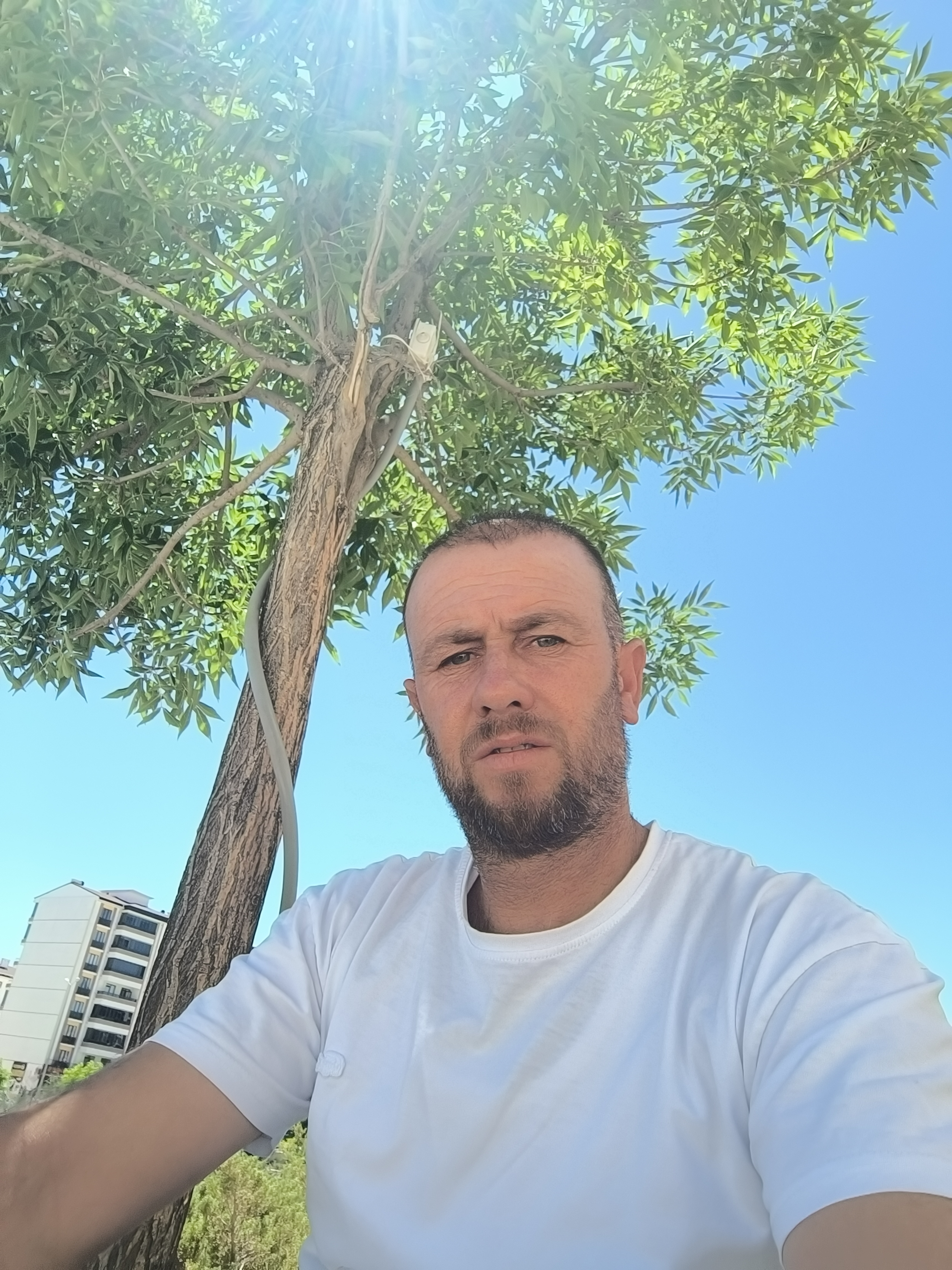 Yazarın fotoğrafı: tutakyusuf23