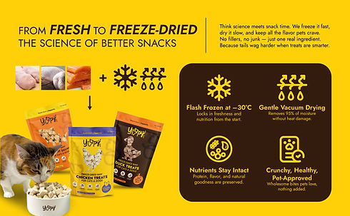 Product Amazon-02.jpg