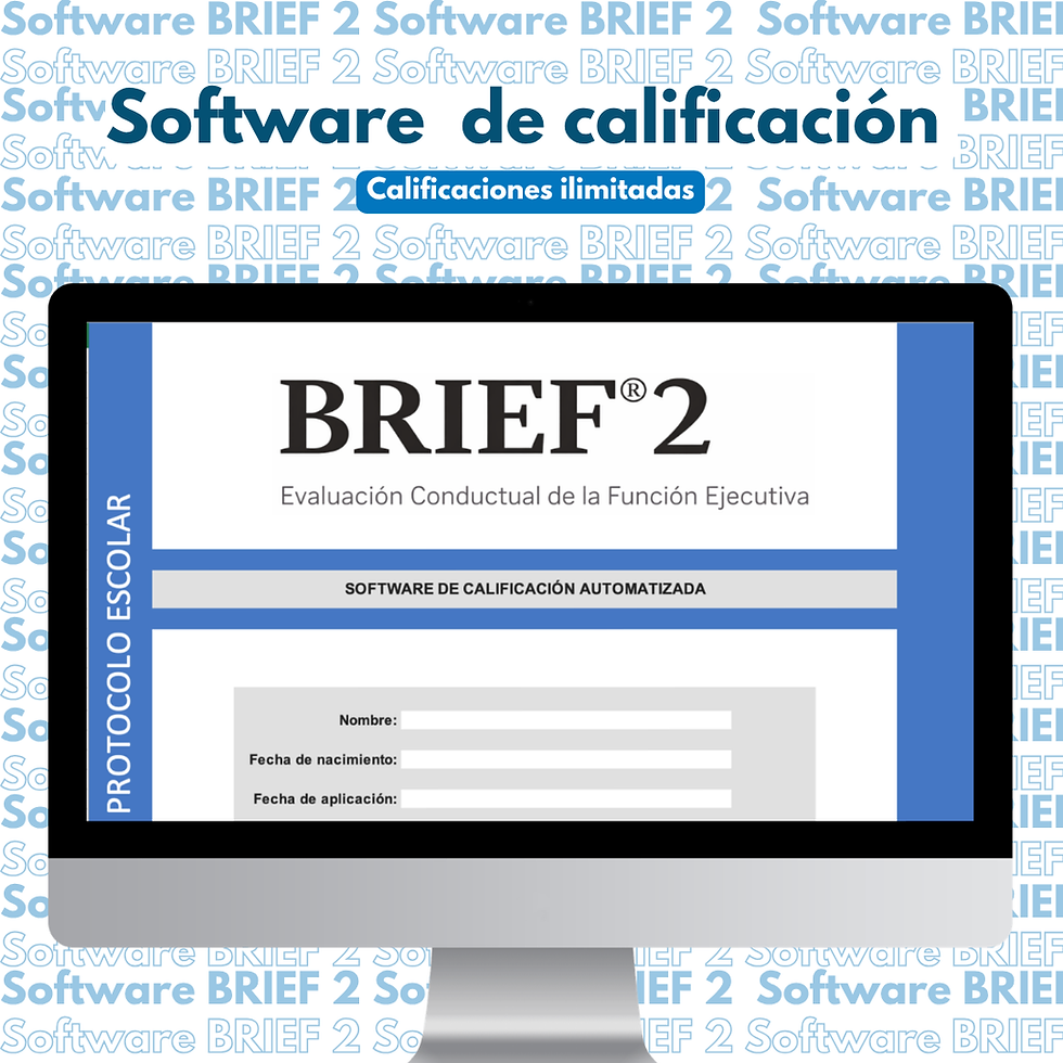 Miniatura: Software BRIEF 2