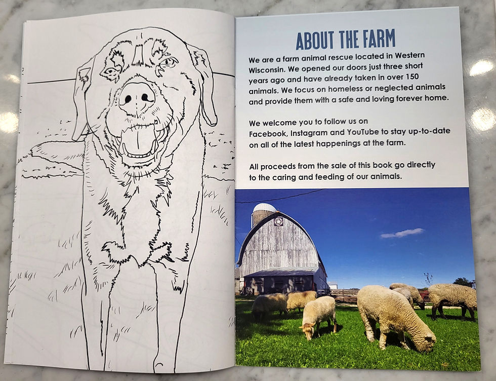 Thumbnail: Coloring Book