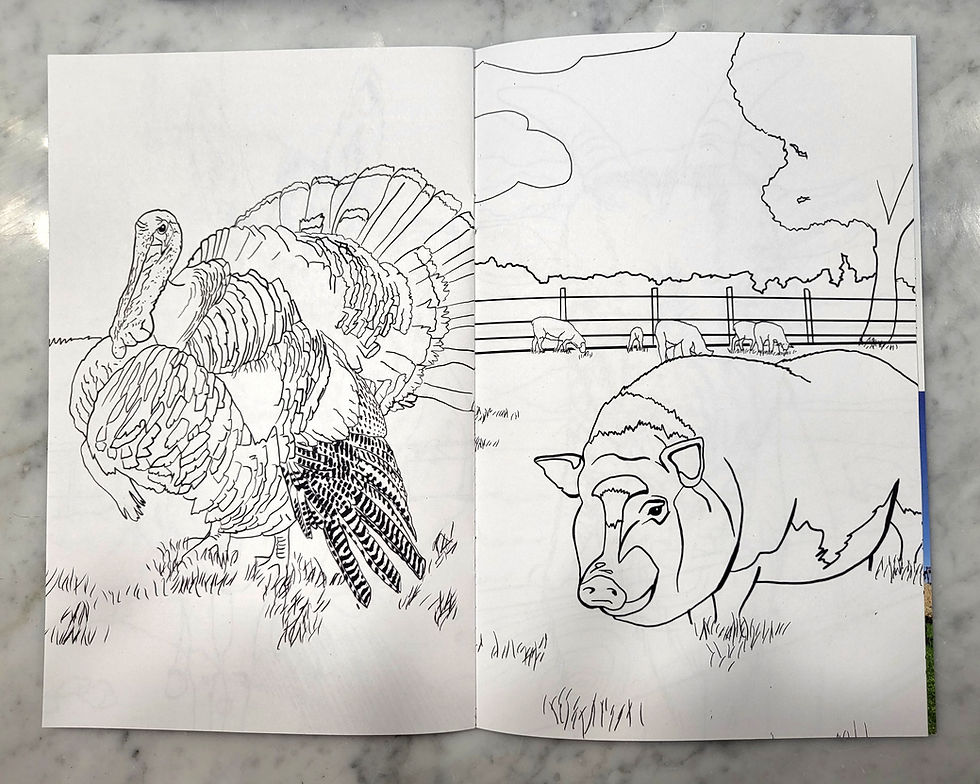 Thumbnail: Coloring Book