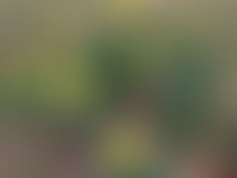 Sanity in Insane Times