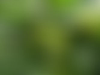 What are we harvesting?