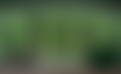 I hope to see you at Mystic South!