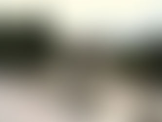 Are those things really horns?